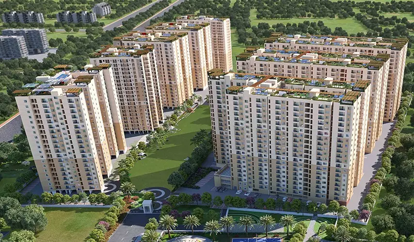 2950- Revolution One_Padur_Image-14-02 copy